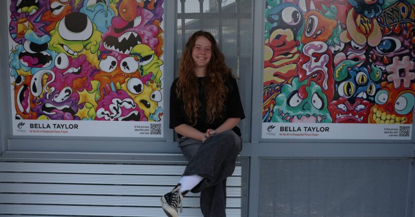 Bus shelter artwork in Shellharbour adds colour to commutes, supporting local artists and transforming public spaces.