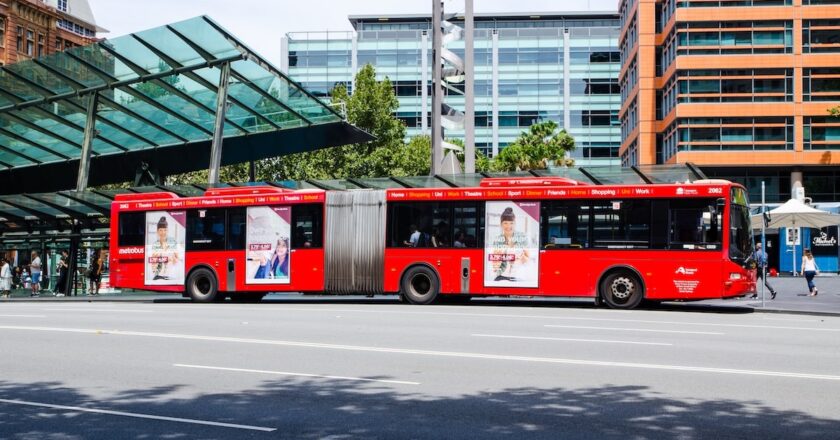 Seventeen repaired bendy buses are back on Sydney’s Northern Beaches, easing queues and boosting capacity on the busiest routes.