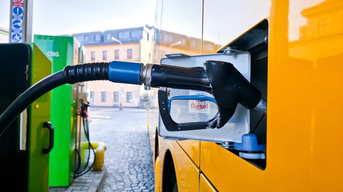 Will halving the fuel excise actually save bus networks?