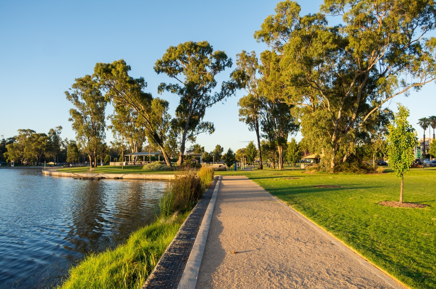 Bonanza or bust? Inside Shepparton’s bus network fight